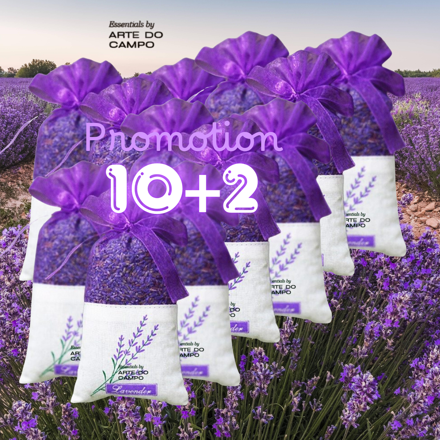 Lavendal 10+2 Bags, dried & selected, seasonal Provence or from own Garden, clean, & separated grains, natural intense fragance