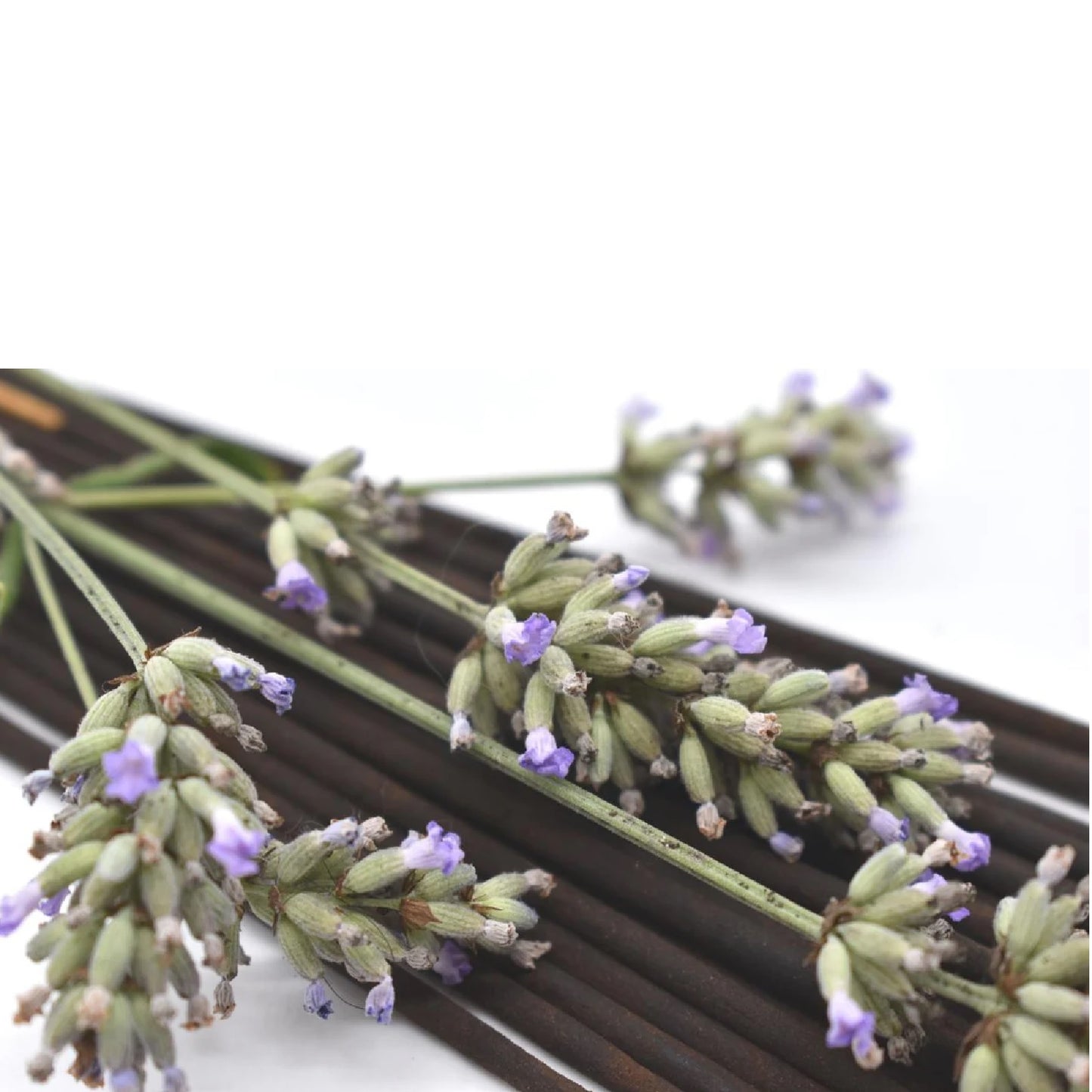 20 Lavendal incents Sticks, dried & selected, natural Lavender fragance ( in Promotion incl. Stick Holder )