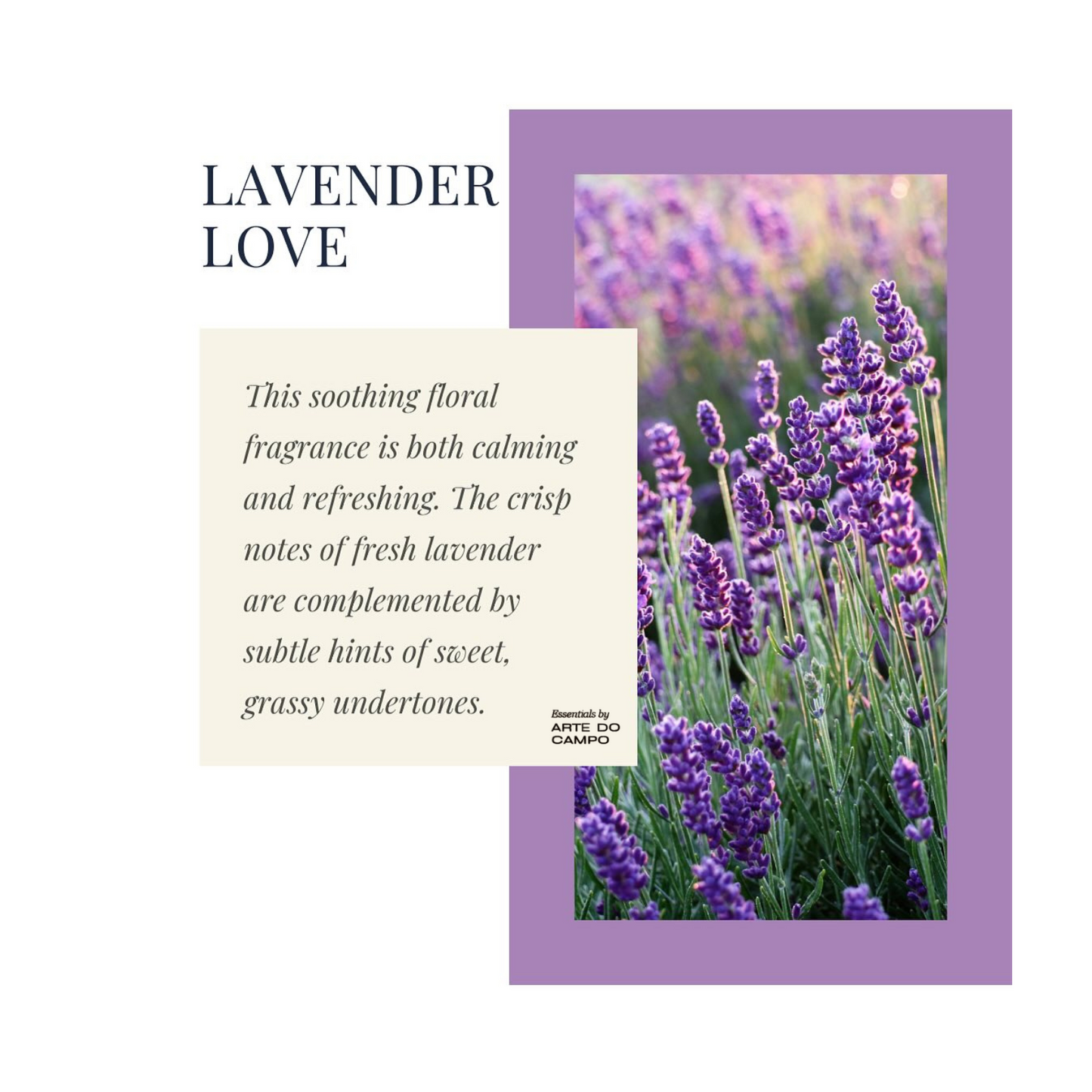 Lavendal 1 Bag, dried & selected, seasonal Provence or from own Garden, clean, & separated grains, natural intense fragance